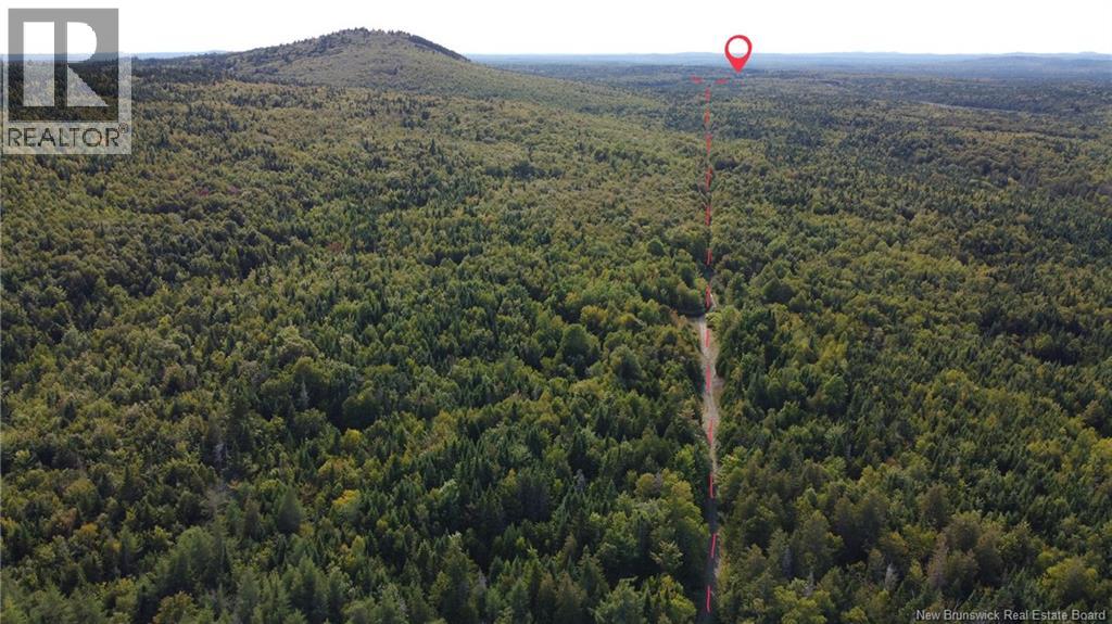 Backland Road, Saint John, New Brunswick  E2M 7T8 - Photo 2 - NB126118