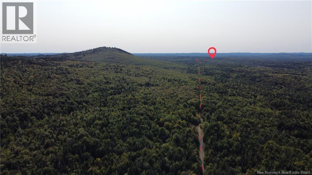 Backland Road, Saint John, New Brunswick  E2M 7T8 - Photo 3 - NB126118