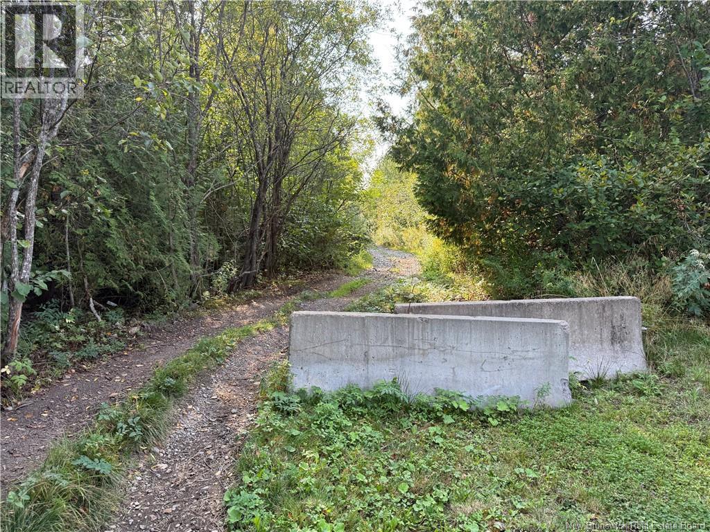 Backland Road, Saint John, New Brunswick  E2M 7T8 - Photo 4 - NB126118