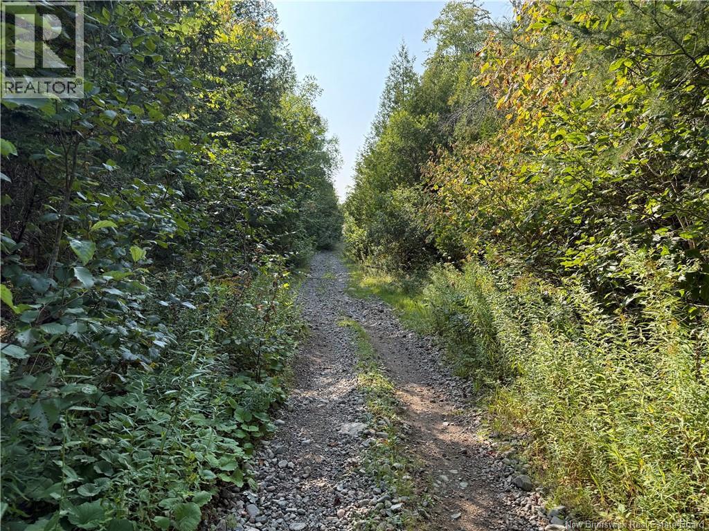 Backland Road, Saint John, New Brunswick  E2M 7T8 - Photo 5 - NB126118