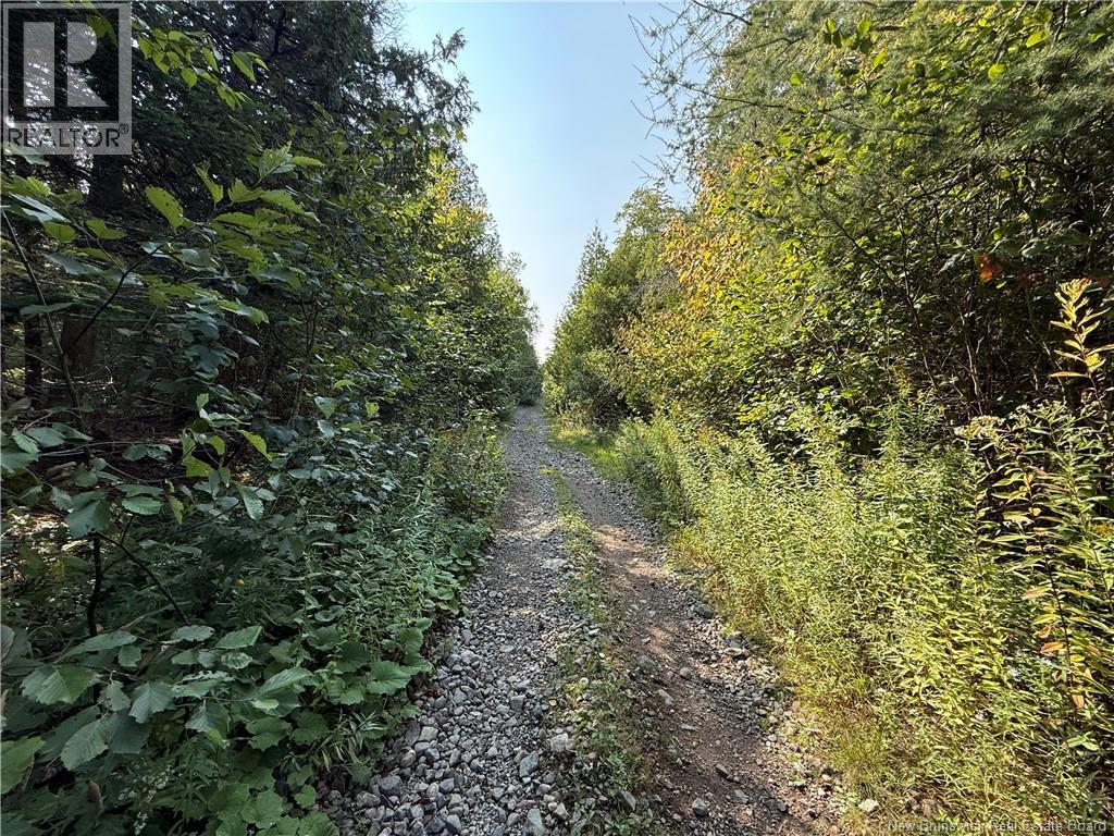 Backland Road, Saint John, New Brunswick  E2M 7T8 - Photo 6 - NB126118