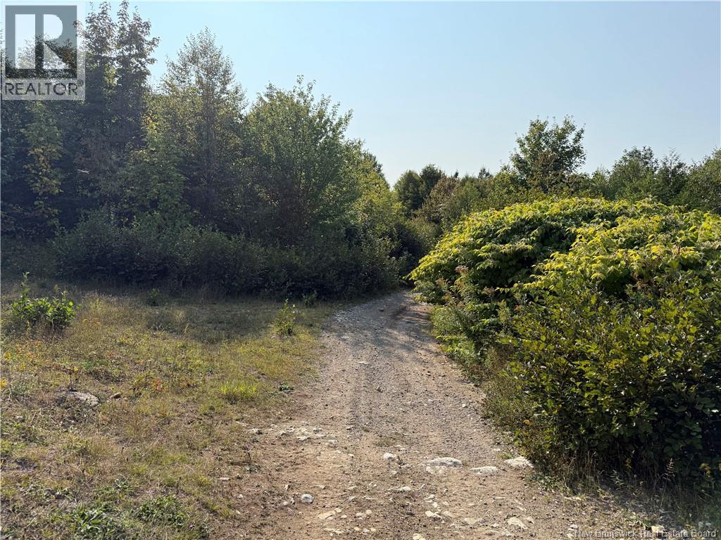 Backland Road, Saint John, New Brunswick  E2M 7T8 - Photo 7 - NB126118
