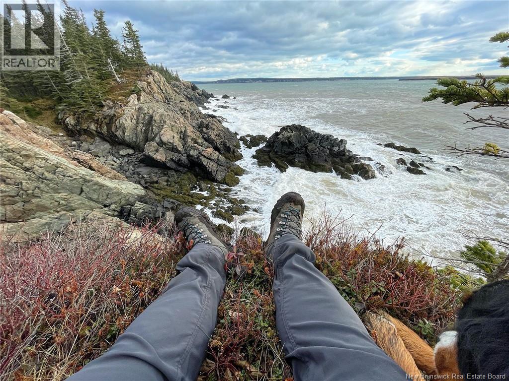 0 Haggertys Cove Road, New River Beach, New Brunswick  E5J 1J5 - Photo 6 - NB126159