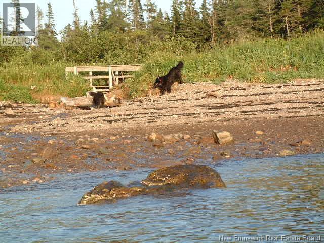 0 Haggertys Cove Road, New River Beach, New Brunswick  E5J 1J5 - Photo 9 - NB126159