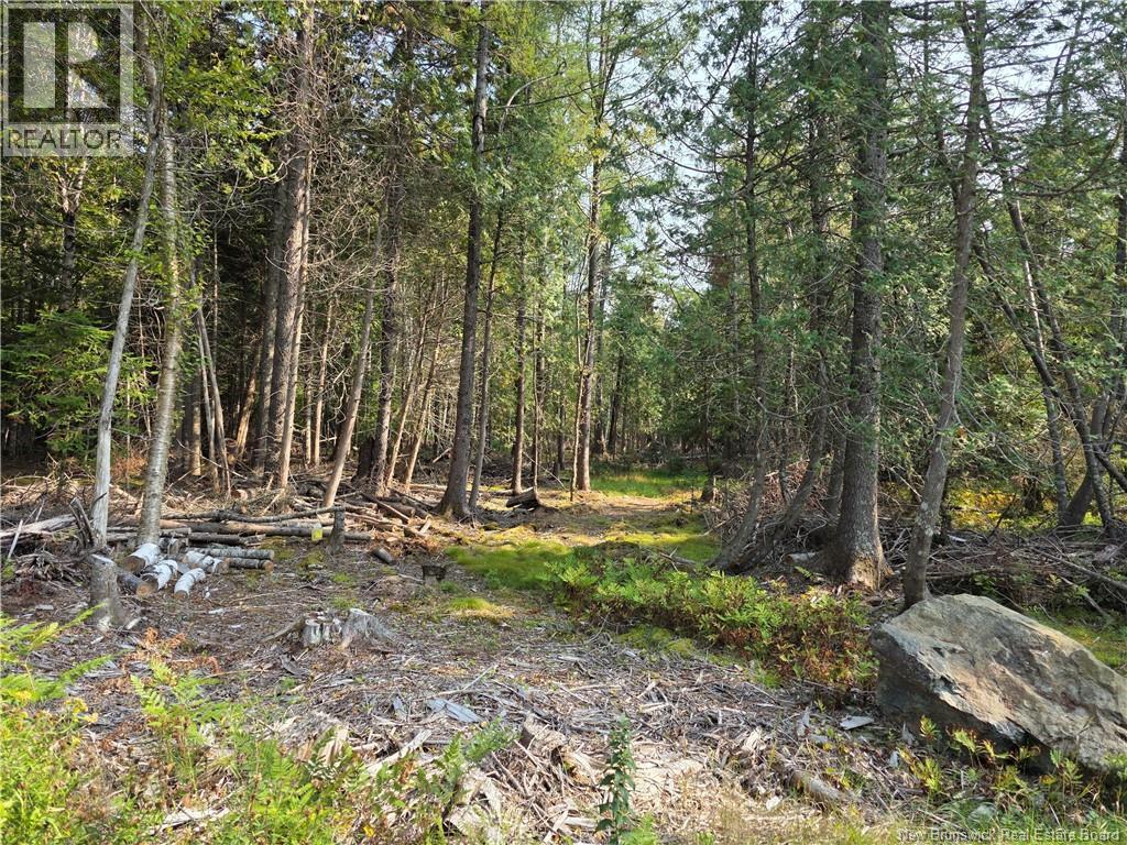 Lot 1 Rankine Road, Bayside, New Brunswick  E5B 2S7 - Photo 3 - NB126541