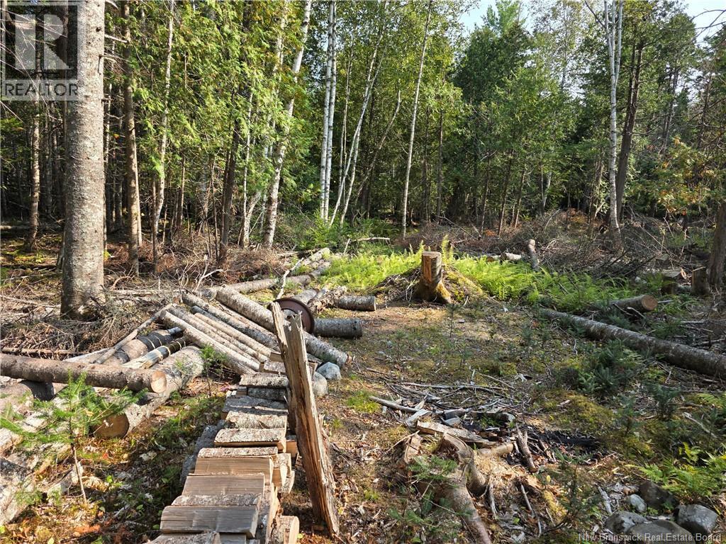 Lot 1 Rankine Road, Bayside, New Brunswick  E5B 2S7 - Photo 4 - NB126541