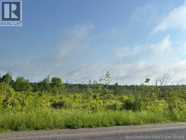 00000 Upper Tower Hill Road, Tower Hill, New Brunswick  E5A 2P3 - Photo 3 - NB126812