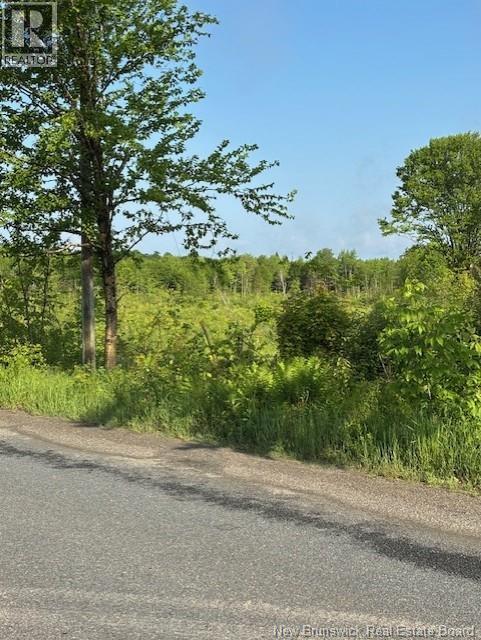 00000 Upper Tower Hill Road, Tower Hill, New Brunswick  E5A 2P3 - Photo 4 - NB126812