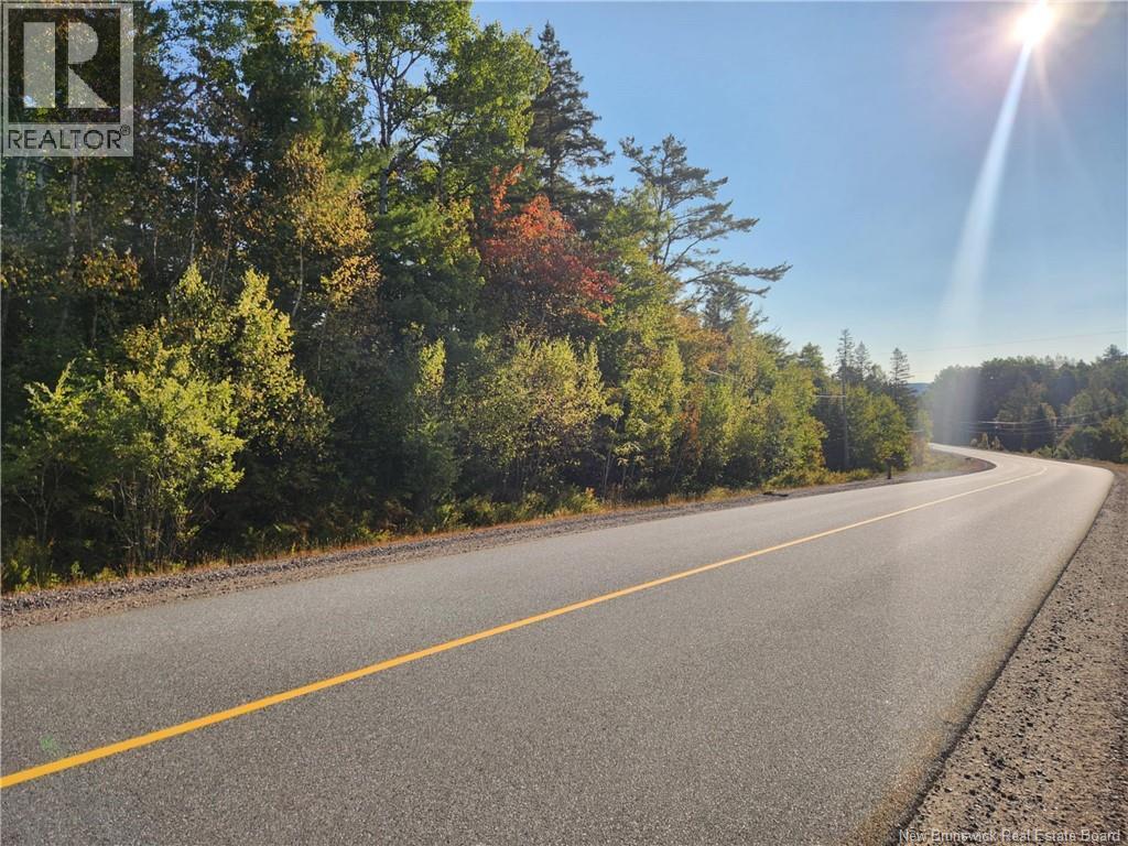 Route 101, Clarendon, New Brunswick  E5K 4C3 - Photo 4 - NB126800