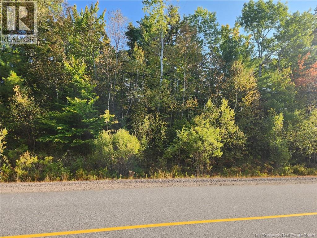 Route 101, Clarendon, New Brunswick  E5K 4C3 - Photo 5 - NB126800
