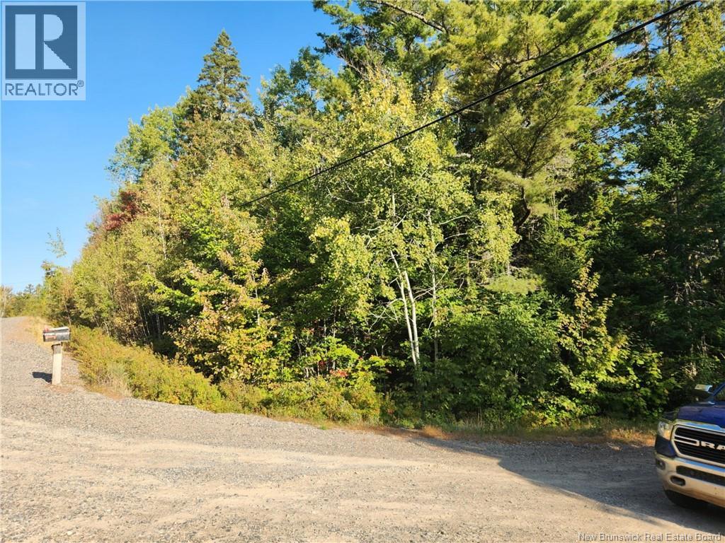 Route 101, Clarendon, New Brunswick  E5K 4C3 - Photo 7 - NB126800