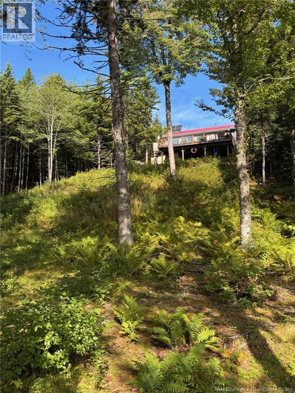 Camp Brittain Road, Public Landing, New Brunswick  E5K 4K2 - Photo 25 - NB126935