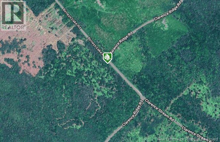 Birneys Lake Road, Clarence Ridge, New Brunswick  E5A 2G8 - Photo 3 - NB127453
