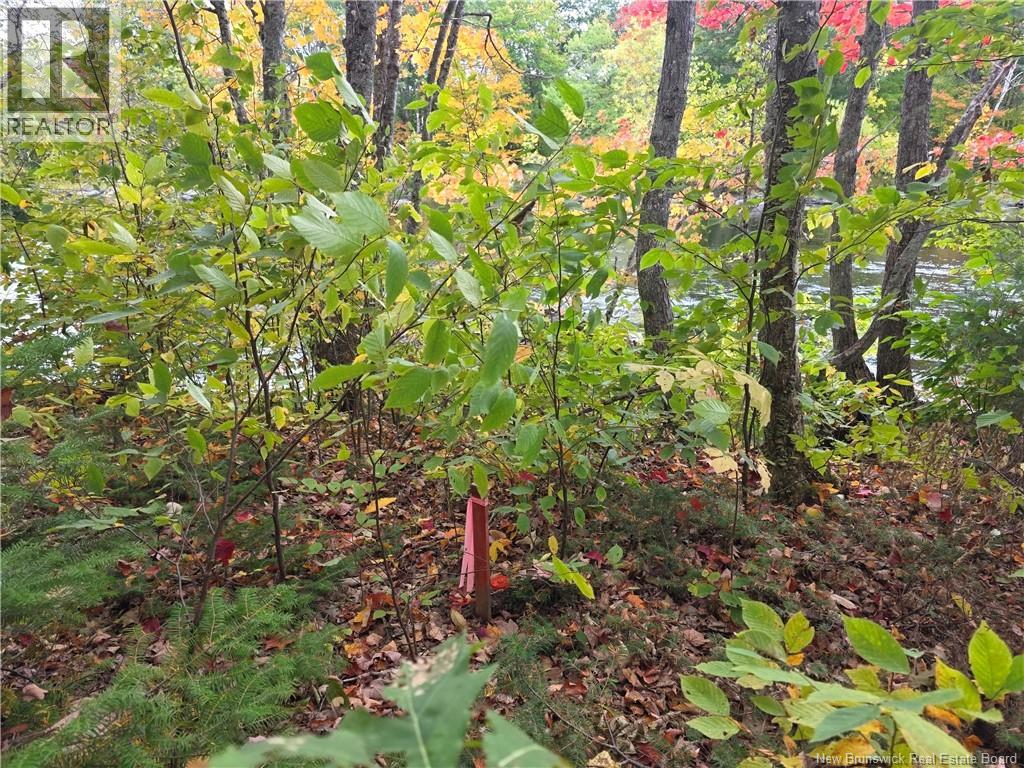 00 Hall Road, Upper Mills, New Brunswick  E3L 5W7 - Photo 10 - NB127262