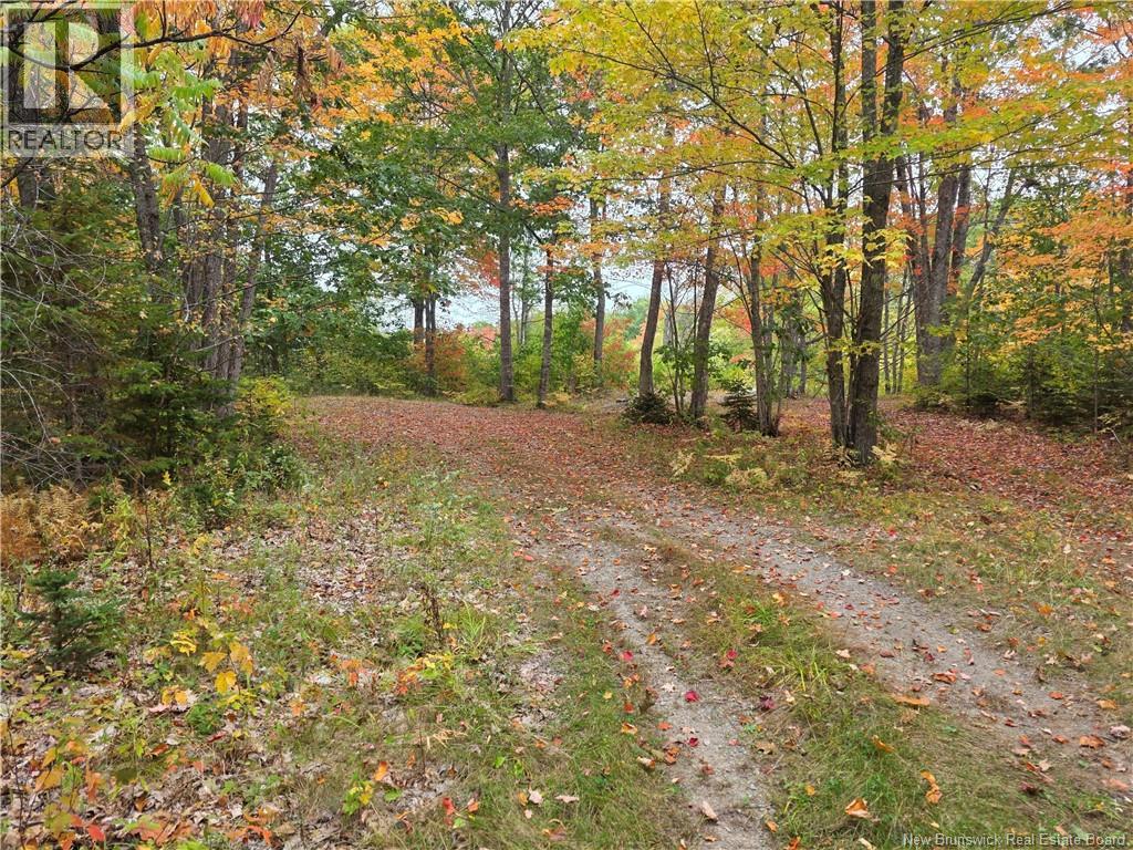 00 Hall Road, Upper Mills, New Brunswick  E3L 5W7 - Photo 11 - NB127262