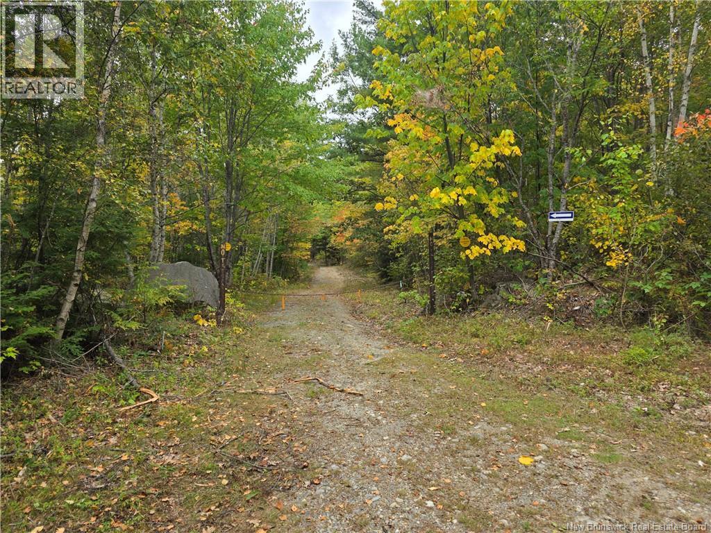 00 Hall Road, Upper Mills, New Brunswick  E3L 5W7 - Photo 15 - NB127262