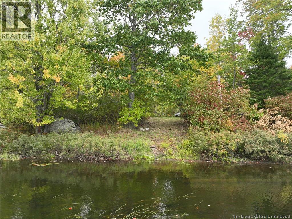 00 Hall Road, Upper Mills, New Brunswick  E3L 5W7 - Photo 6 - NB127262