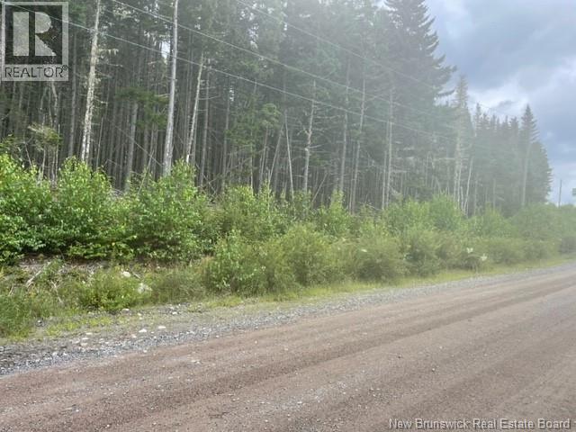 000 Maxwell Road, Bonny River, New Brunswick  E5C 1C6 - Photo 2 - NB127514