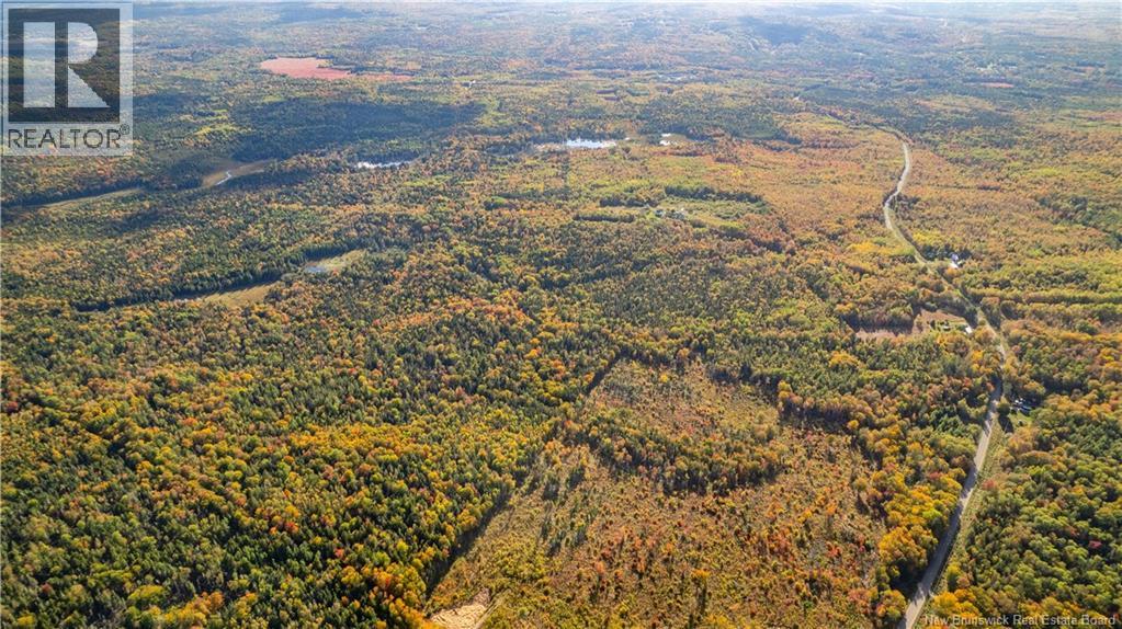 Lot Clatter Road, Rollingdam, New Brunswick  E5A 2Y9 - Photo 30 - NB127781