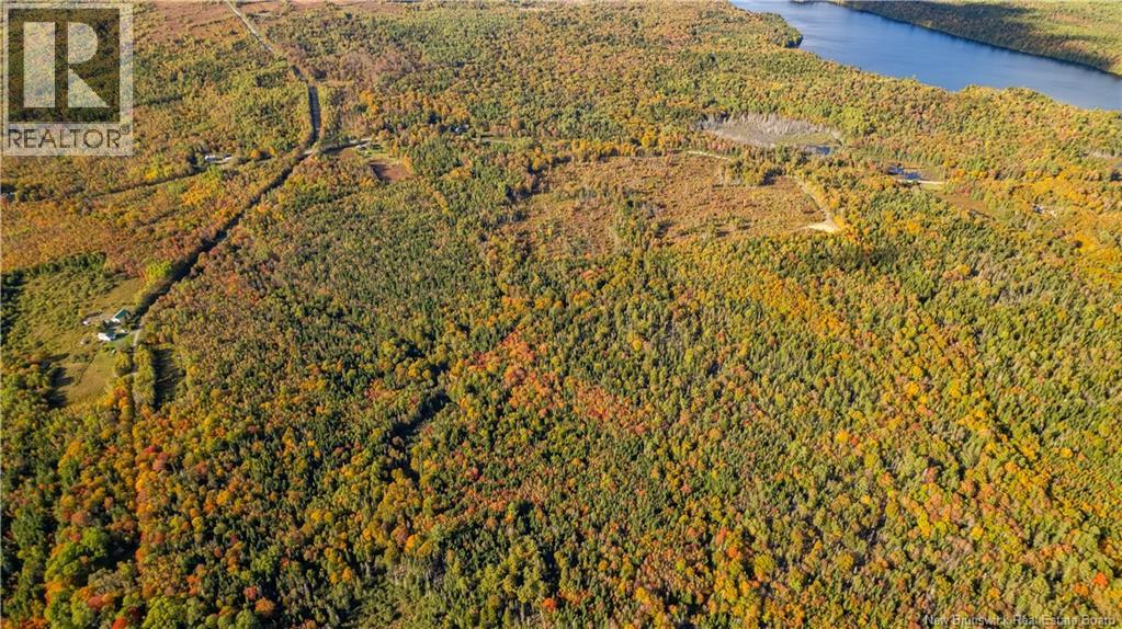 Lot Clatter Road, Rollingdam, New Brunswick E5A 2Y9 - Photo 35 - NB127781