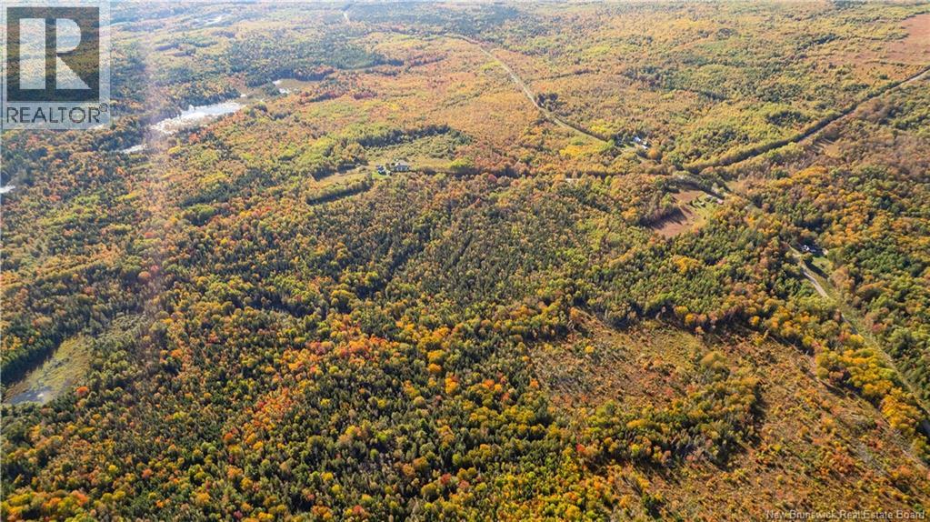 Lot Clatter Road, Rollingdam, New Brunswick E5A 2Y9 - Photo 36 - NB127781