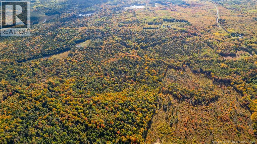 Lot Clatter Road, Rollingdam, New Brunswick E5A 2Y9 - Photo 37 - NB127781