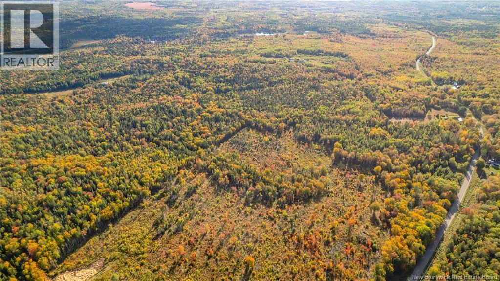 Lot Clatter Road, Rollingdam, New Brunswick E5A 2Y9 - Photo 39 - NB127781
