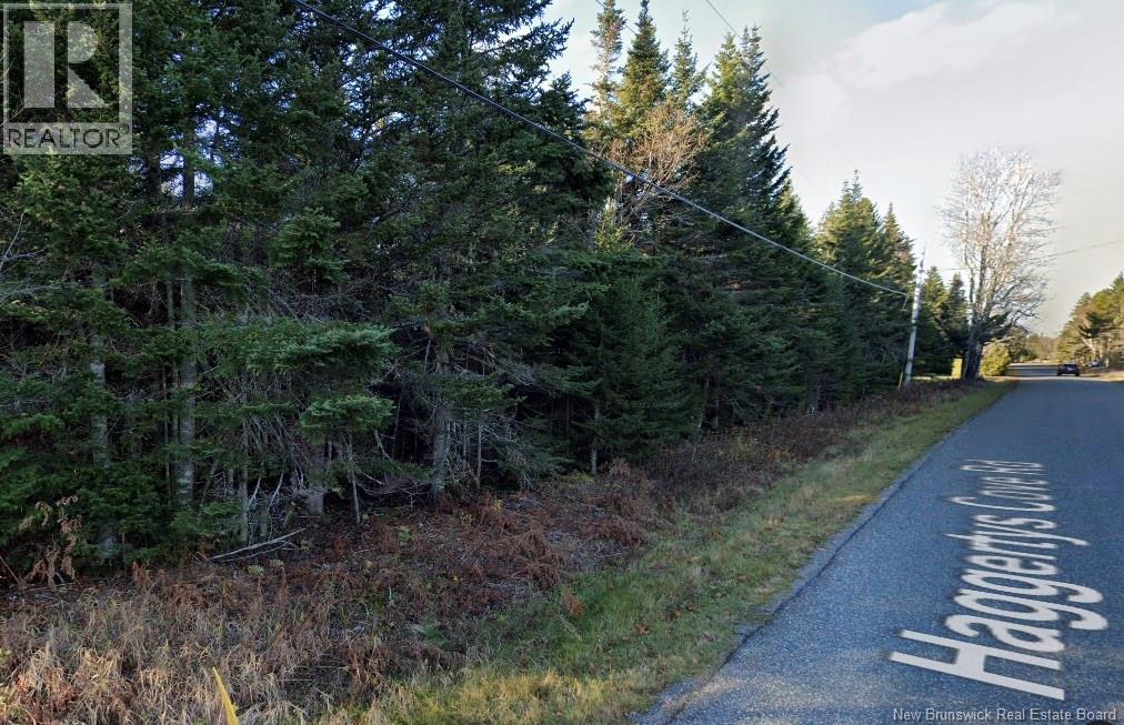 Haggertys Cove Road, New River Beach, New Brunswick  E5J 1J6 - Photo 6 - NB127724