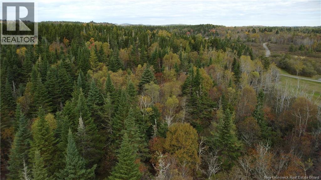 Lot Sam Hatt Road, Letang, New Brunswick  E5C 1Z9 - Photo 10 - NB127779