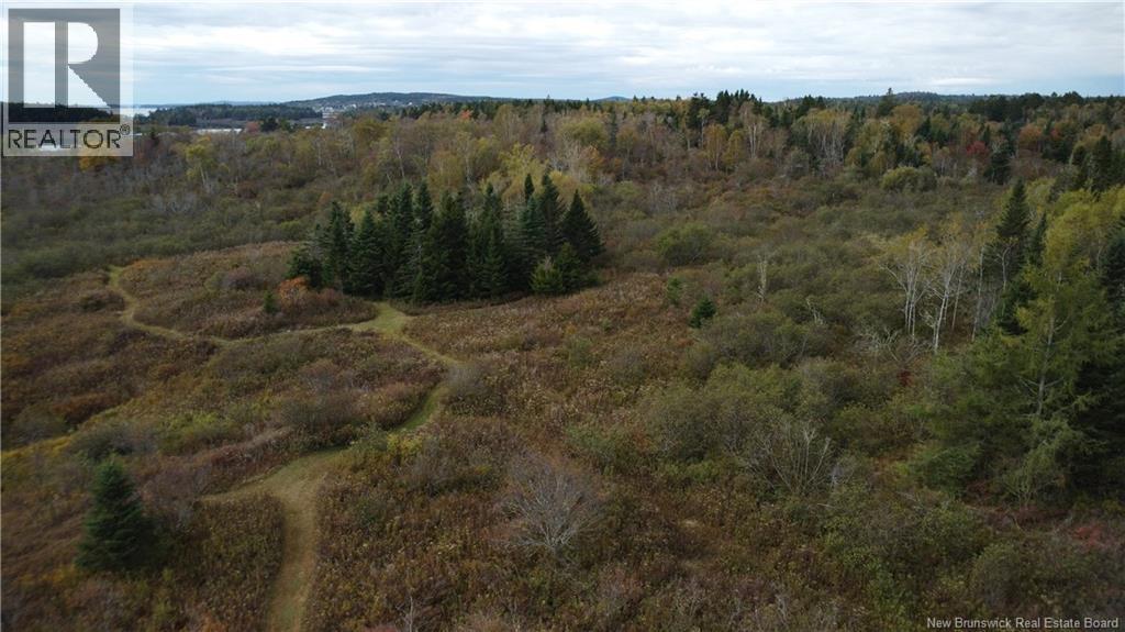 Lot Sam Hatt Road, Letang, New Brunswick  E5C 1Z9 - Photo 11 - NB127779