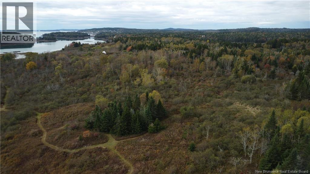 Lot Sam Hatt Road, Letang, New Brunswick  E5C 1Z9 - Photo 12 - NB127779