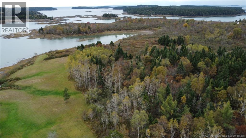 Lot Sam Hatt Road, Letang, New Brunswick  E5C 1Z9 - Photo 13 - NB127779