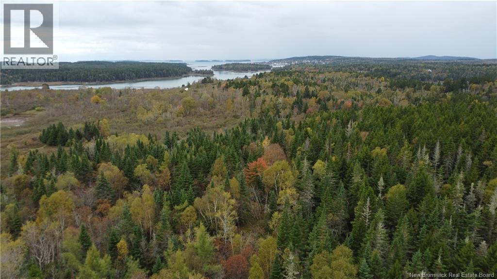 Lot Sam Hatt Road, Letang, New Brunswick  E5C 1Z9 - Photo 14 - NB127779