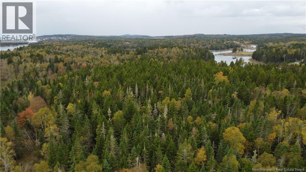 Lot Sam Hatt Road, Letang, New Brunswick  E5C 1Z9 - Photo 15 - NB127779