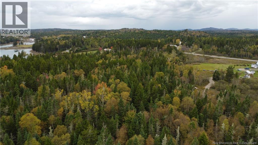 Lot Sam Hatt Road, Letang, New Brunswick  E5C 1Z9 - Photo 16 - NB127779