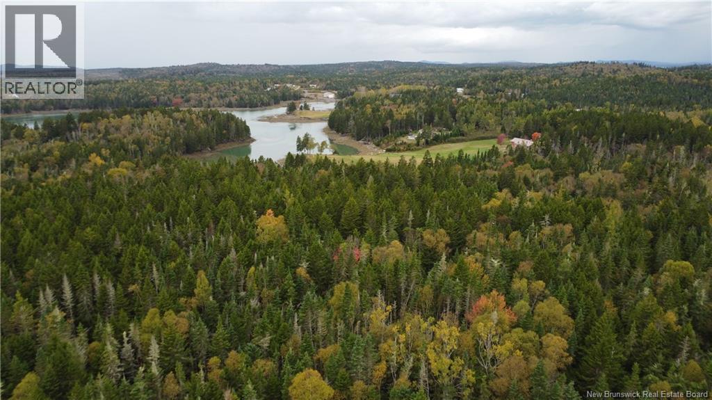 Lot Sam Hatt Road, Letang, New Brunswick  E5C 1Z9 - Photo 17 - NB127779