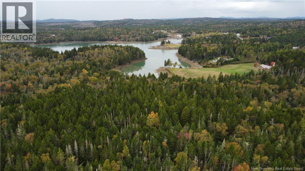 Lot Sam Hatt Road, Letang, New Brunswick  E5C 1Z9 - Photo 18 - NB127779