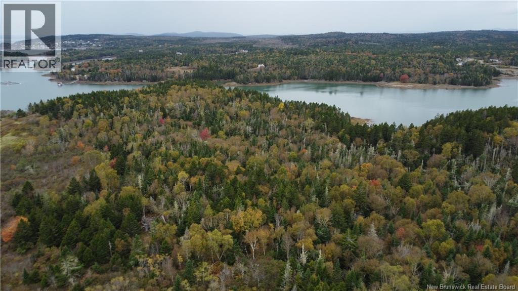 Lot Sam Hatt Road, Letang, New Brunswick  E5C 1Z9 - Photo 23 - NB127779