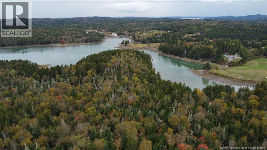 Lot Sam Hatt Road, Letang, New Brunswick  E5C 1Z9 - Photo 24 - NB127779