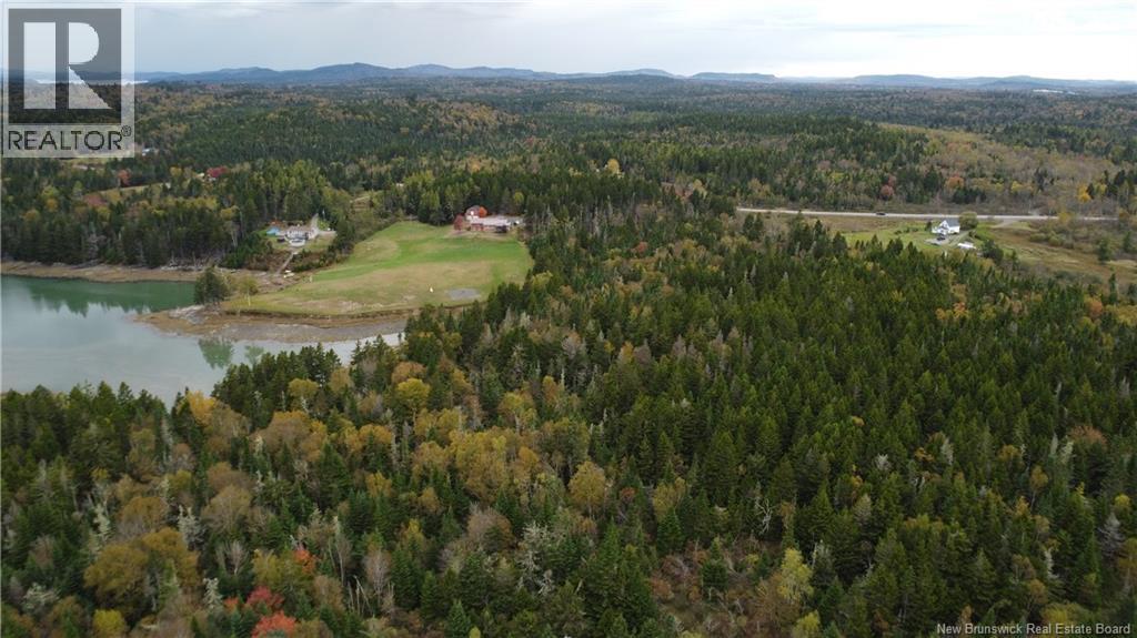 Lot Sam Hatt Road, Letang, New Brunswick  E5C 1Z9 - Photo 25 - NB127779