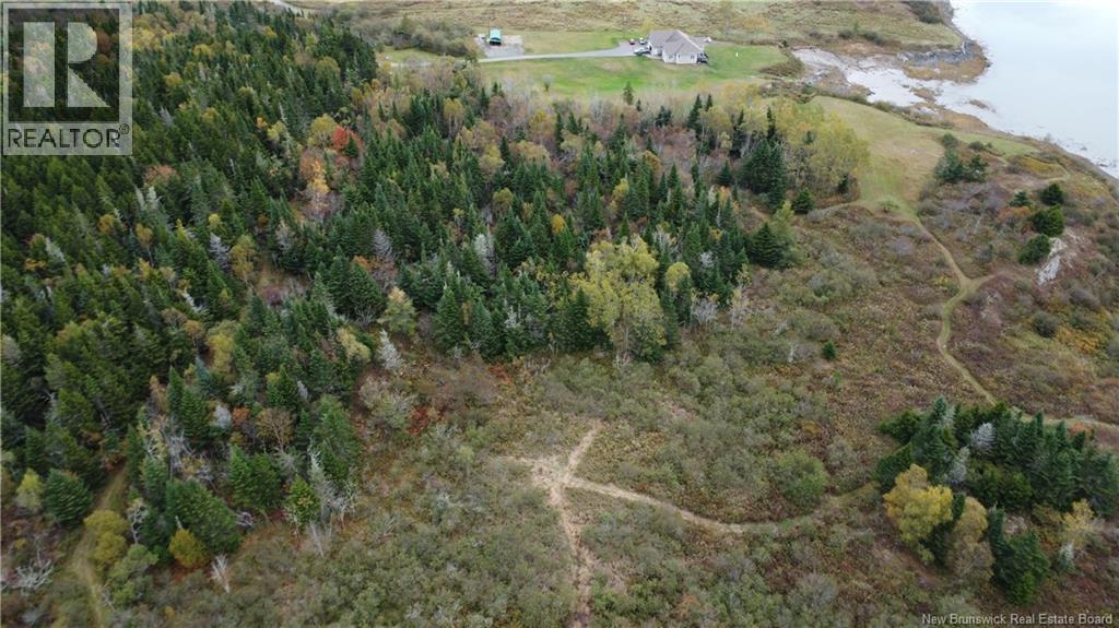 Lot Sam Hatt Road, Letang, New Brunswick  E5C 1Z9 - Photo 27 - NB127779