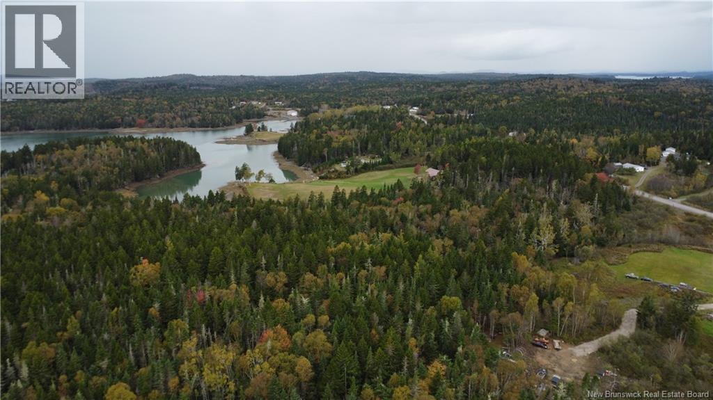 Lot Sam Hatt Road, Letang, New Brunswick  E5C 1Z9 - Photo 31 - NB127779