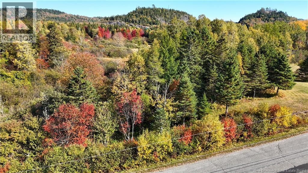 000 Kerrs Ridge Road, Bocabec, New Brunswick  E5B 3K6 - Photo 4 - NB128119