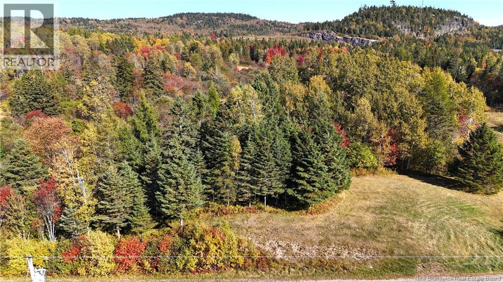 000 Kerrs Ridge Road, Bocabec, New Brunswick  E5B 3K6 - Photo 6 - NB128119