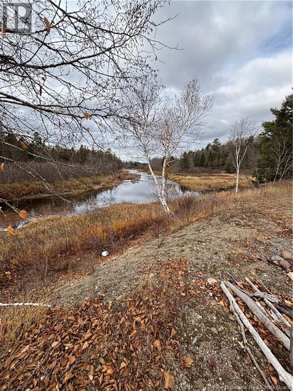 682 Boyd Road, Elmsville, New Brunswick  E5A 1M8 - Photo 11 - NB129238