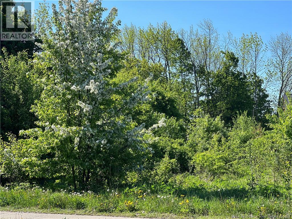 100 Union Street, St. Stephen, New Brunswick  E3L 1V5 - Photo 7 - NB129328