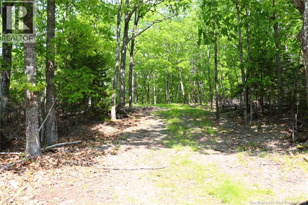 Hills Point Road, St. Stephen, New Brunswick