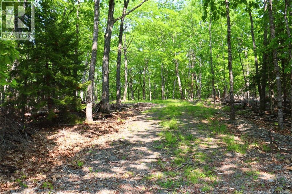 Hills Point Road, St. Stephen, New Brunswick  E3L 4K5 - Photo 2 - NB129420