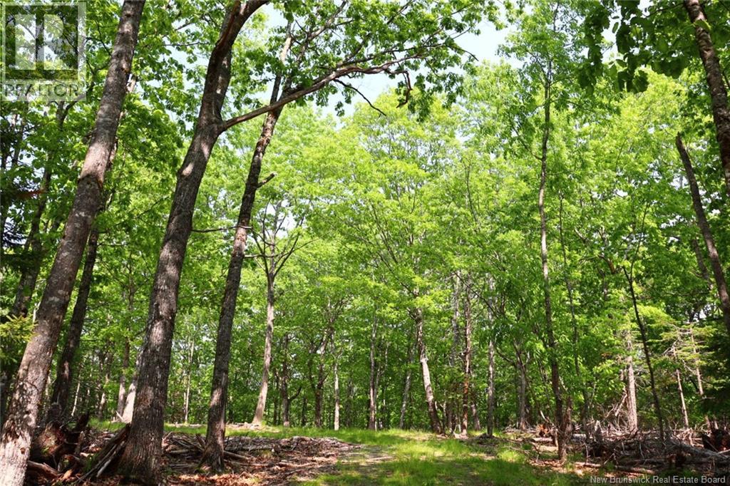 Hills Point Road, St. Stephen, New Brunswick  E3L 4K5 - Photo 3 - NB129420