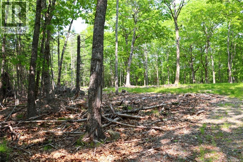 Hills Point Road, St. Stephen, New Brunswick  E3L 4K5 - Photo 4 - NB129420